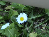 DSC00005.jpg (79kb)