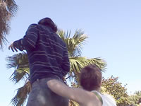 DSC00011.jpg (38kb)