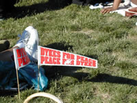 DSCN1961.jpg (69kb)