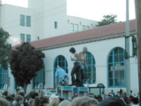 DSCN1981.jpg (37kb)
