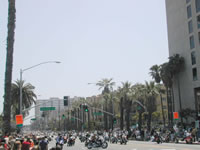DSCN1734.jpg (33kb)
