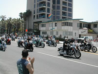 DSCN1735.jpg (43kb)