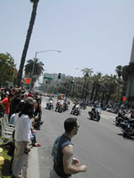 DSCN1736.jpg (34kb)