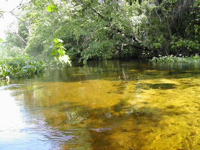 more lake like swampy area