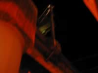 photo3120 (22kb)
